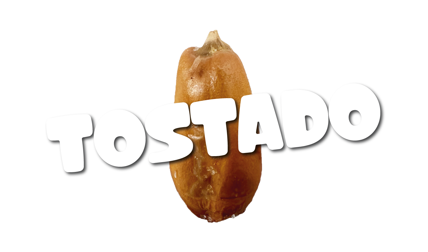 Fondo-B4